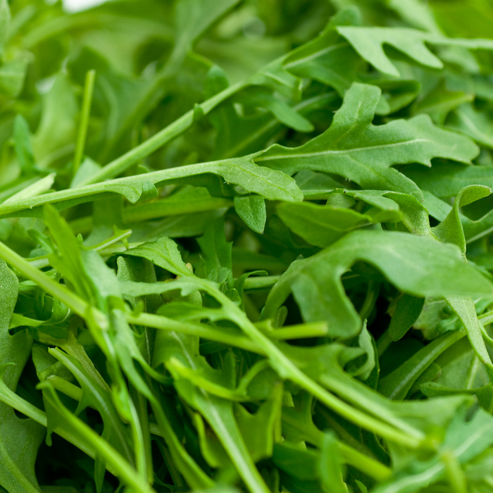 Roquette (Aragula) - Plant dans un pot de 4 po *Certifié Biologique