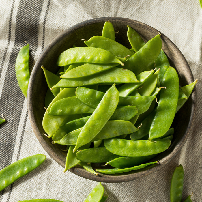 Pois mange-tout Avalanche - Plant dans un pot de 4 po *Certifié Biologique