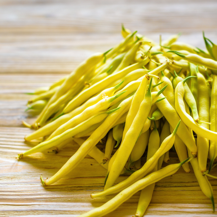 Haricot Neckargold jaune - Plant dans un pot de 4 po *Certifié Biologique