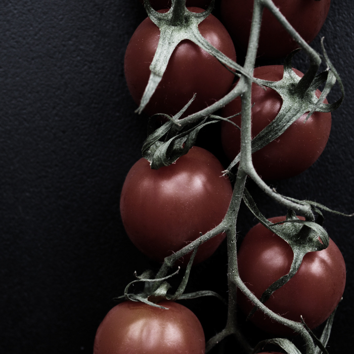 Tomate Black Cherry - Plant dans un pot de 4 po *Certifié Biologique