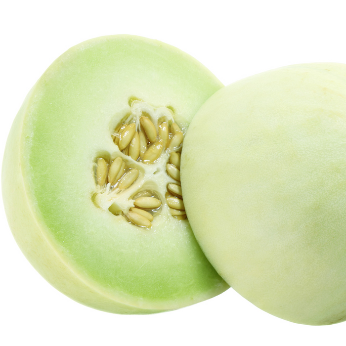 Melon miel Diplomate - Plant dans un pot de 4 po *Certifié Biologique