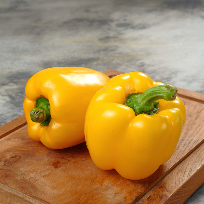 Poivron jaune Golden Star - Plant dans un pot de 4 po *Certifié Biologique