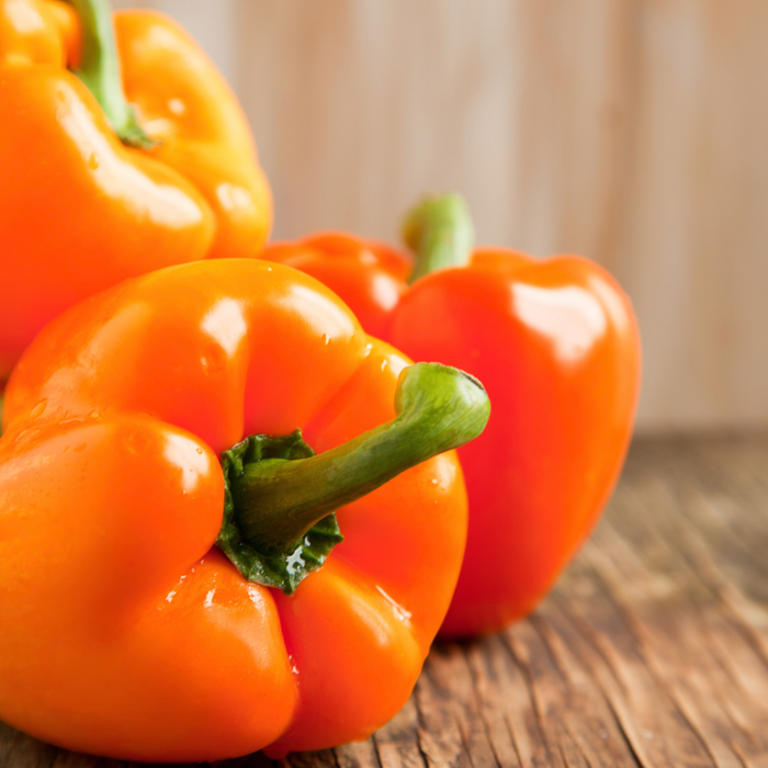 Poivron Orange Gourmet - Plant dans un pot de 4 po *Certifié Biologique