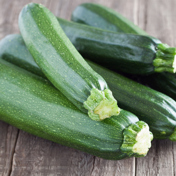 Courge Zucchini vert Dunja - Plant dans un pot de 4 po *Certifié Biologique