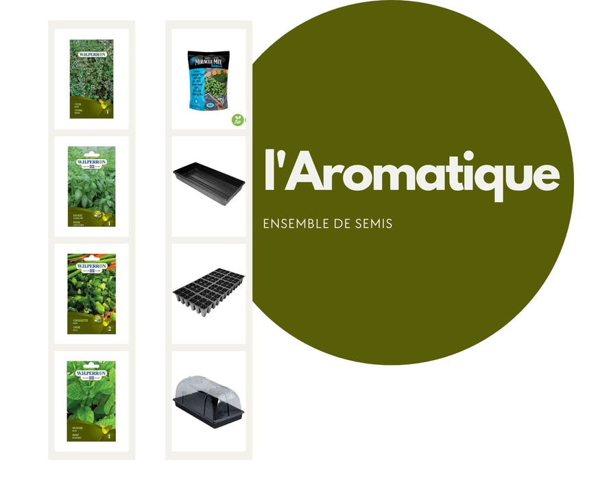 Ensemble de semis - L'Aromatique