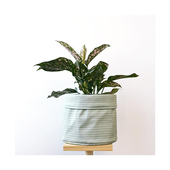 Cache-pot en tissu Horizon vert céleri - 8 pouces