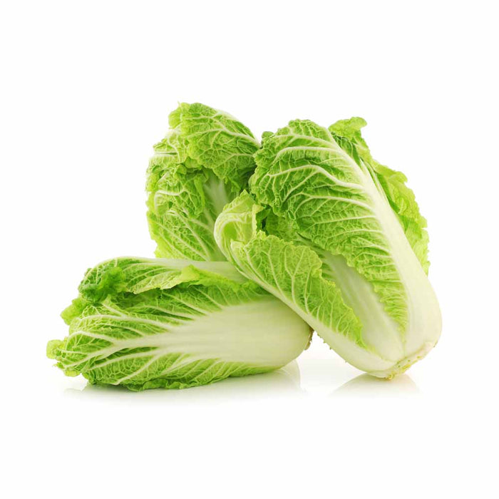Chou Chinois Nappa - Caissette de 9 plants