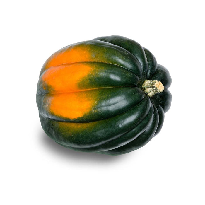 Courge Poivrée Verte - Plant dans pot de 4 po