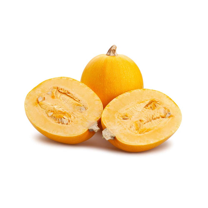 Courge Spaghetti - Plant dans pot de 4 po