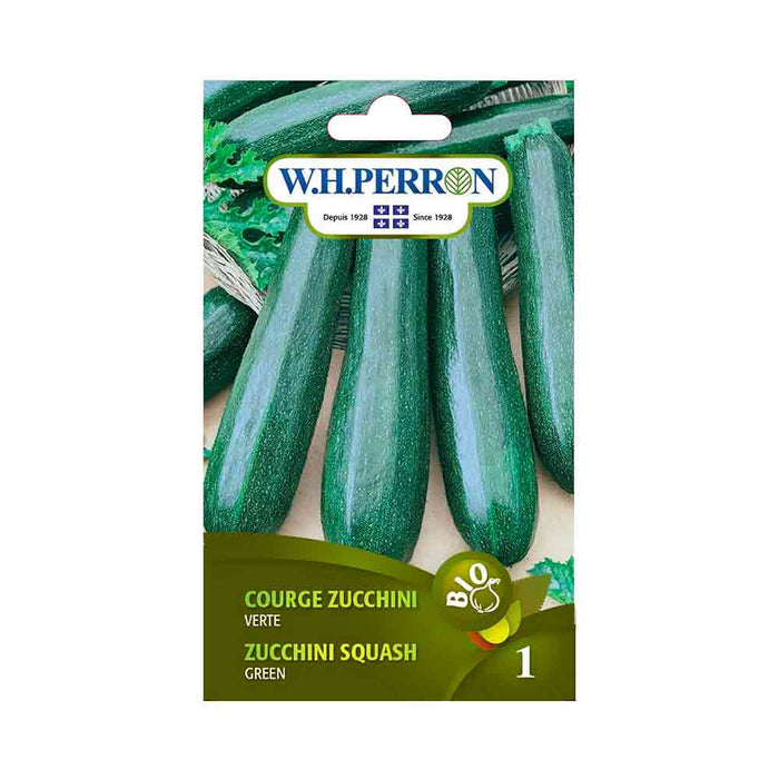 Courge Zucchini Verte *Bio
