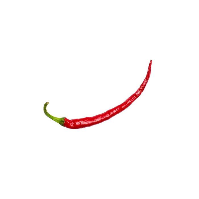 Piments Haricot (Long Cayenne) - Plant dans pot de 4 po