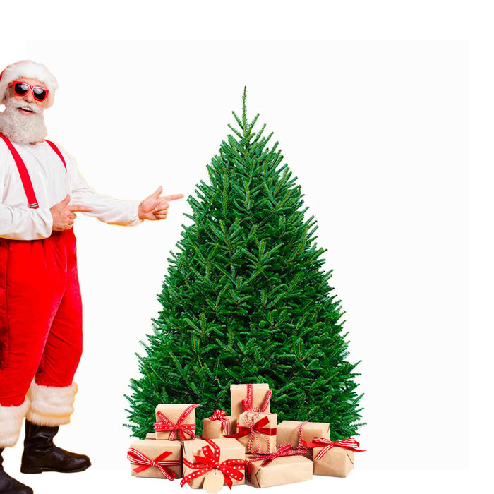 Sapin moins jolie certifié bio de 5-6 pieds