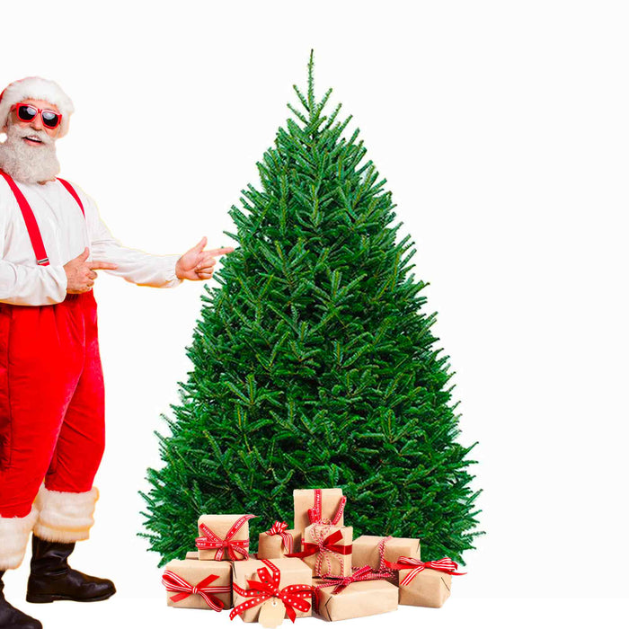 Sapin Beaumier certifié bio de 6-7 pieds