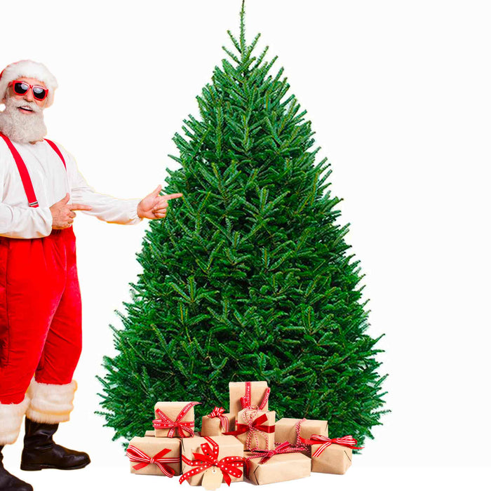 Sapin moins jolie certifié bio de 7-9 pieds