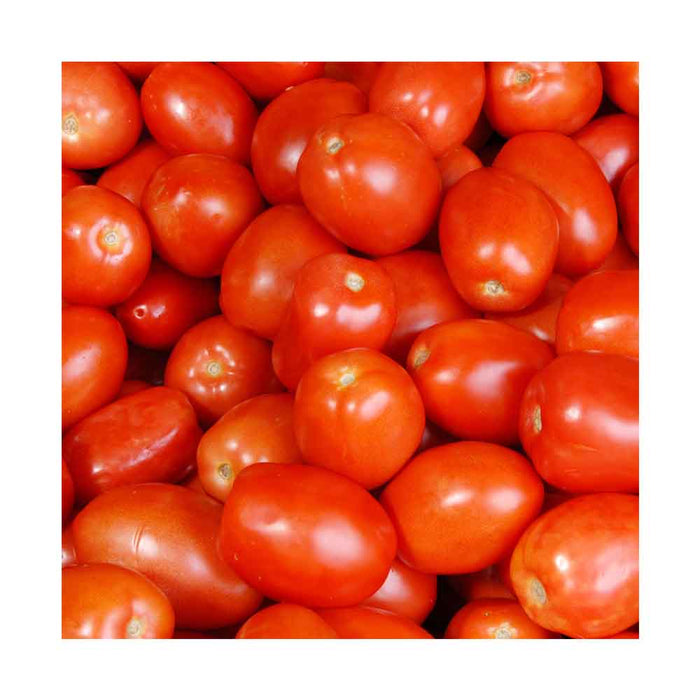Tomate Italienne Romanelle - Plant dans un pot de 4 po