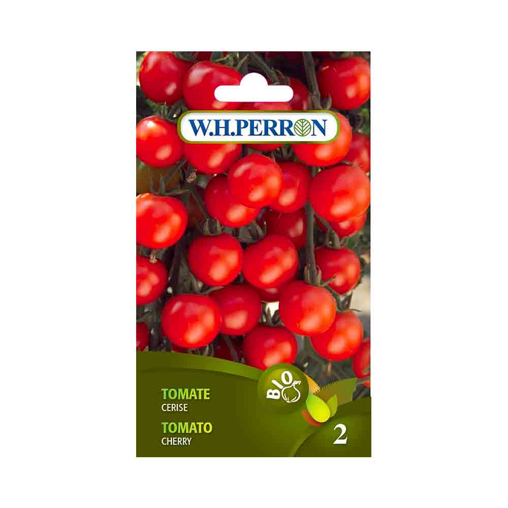 Tomate Cerise Rouge Bio en 250 g - Cultivées en France - Achat / Vente 