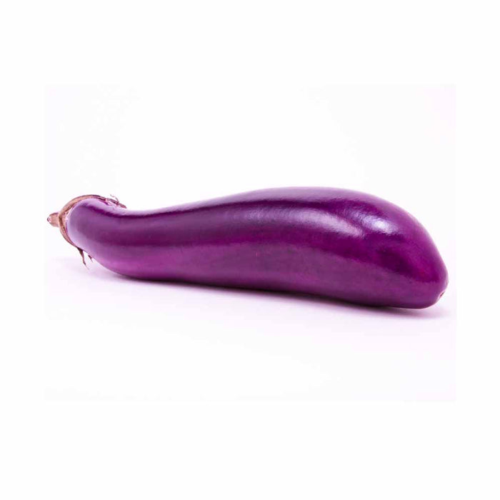 Aubergine Neon Rose - Plant dans pot de 4 po