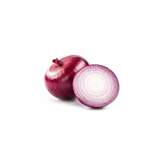 Oignons Rouge - Plant dans pot de 4 po