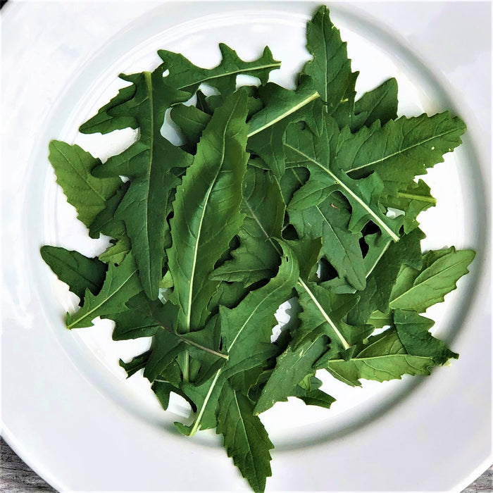 Roquette japonaise Wasabi