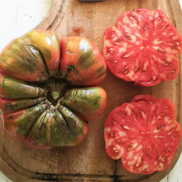Tomate Adelin Morin *Bio
