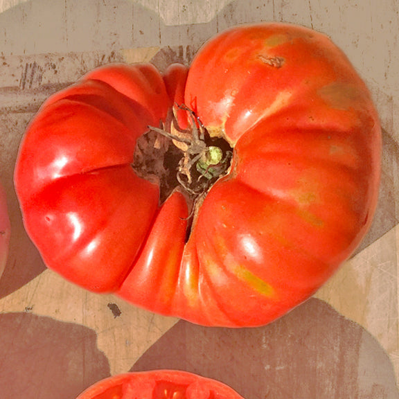 Tomate Mémé de Beauce *Bio